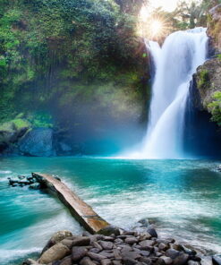 Alternative view of WaterFall surrounded by Trees 3D Custom wall murals / wallpapers – DCWM000795