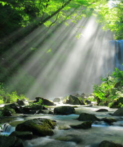 Alternative view of Sunrays on Rocky waters 3D Custom photo wall murals / wallpapers – DCWM000993