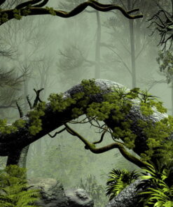 Alternative view of Buttress root Trees in a Misty Forest 3D Custom wall murals / wallpapers – DCWM001094