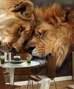 Lion and Lioness Head 3D / 5D / 8D wall murals / custom wallpaper - DCWM20061312